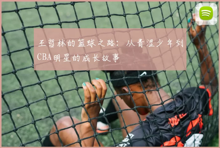王哲林的篮球之路：从青涩少年到CBA明星的成长故事
