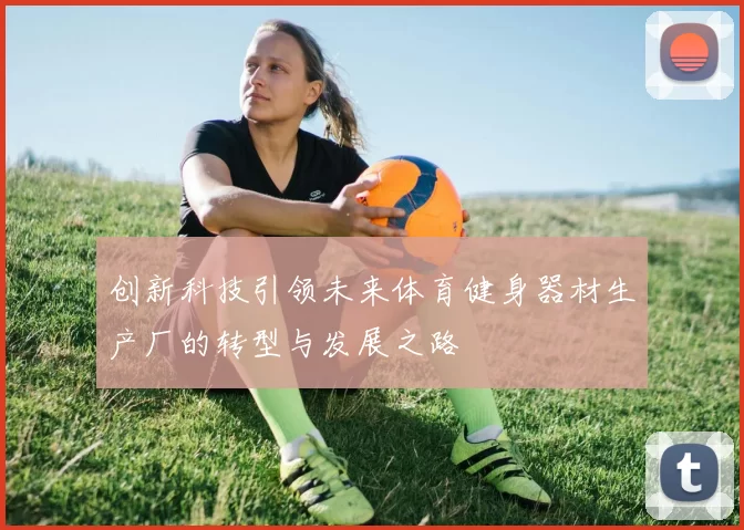 创新科技引领未来体育健身器材生产厂的转型与发展之路